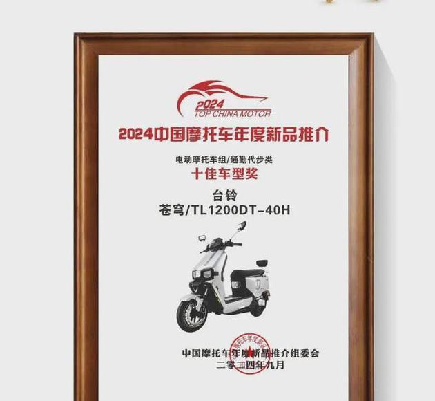 排行电动榜销量车2024款_2021销量最好的电动汽车_2024电动车销量排行榜