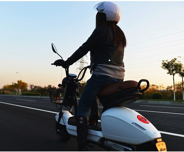 小牛雅迪领衔 2017电动车品牌排行TOP4