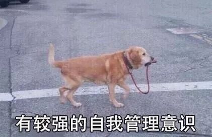 zippo型_zippo型_zippo型