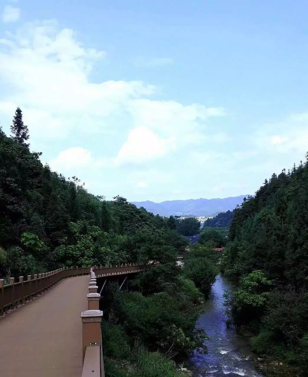 自行车美嘴尺寸_自行车美嘴和法嘴有什么区别_美的自行车