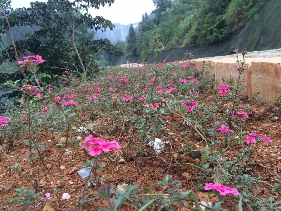 自行车美嘴和法嘴有什么区别_美的自行车_自行车美嘴尺寸