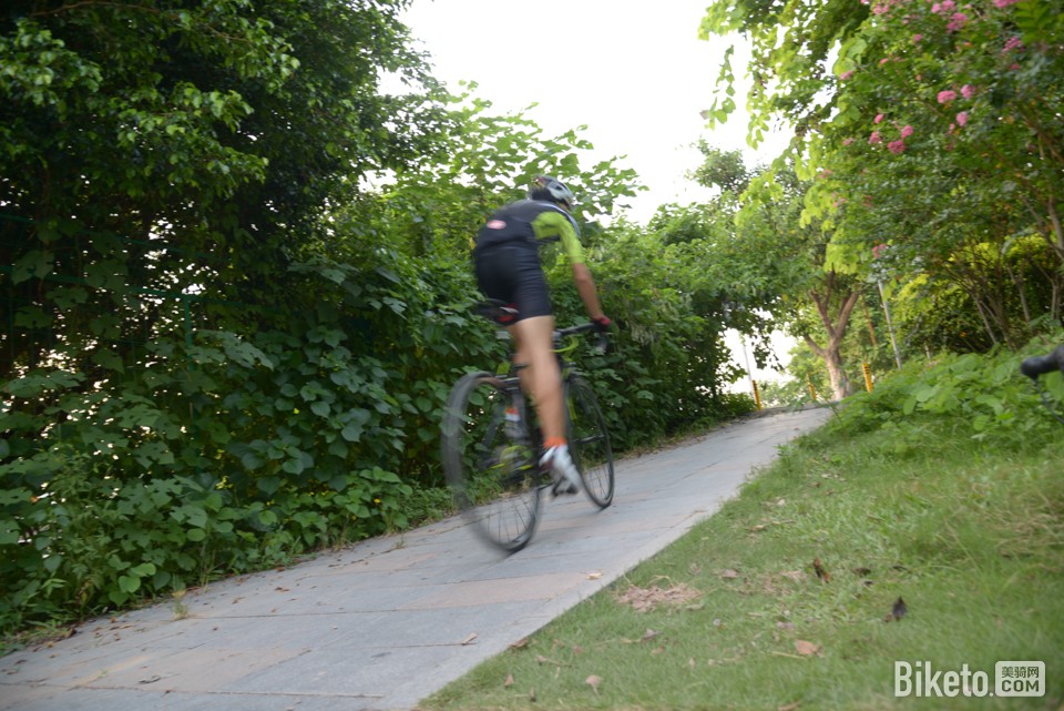 566,look,法国,公路车