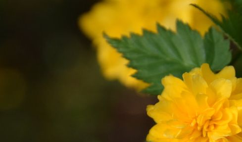 深圳市陈东飚_深圳陈东飚秘方_陈东飚的经验方