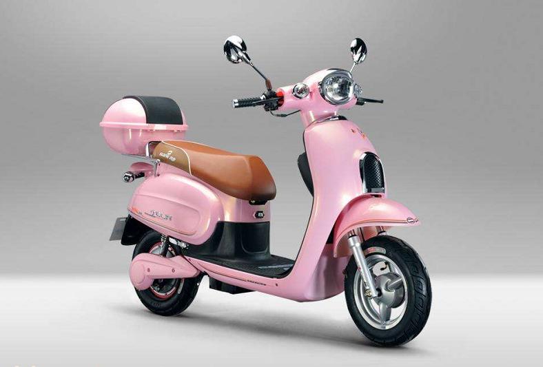 绿源和绿佳哪个好_绿源绿佳电动车是一家吗_绿源绿佳一个牌子吗