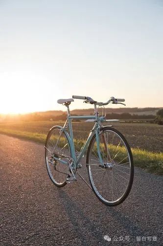 半岛·体育网站平台登陆 中国自行车十大品牌（2024年8月发布） 单车怎么选？山地车、公路车值得买么？