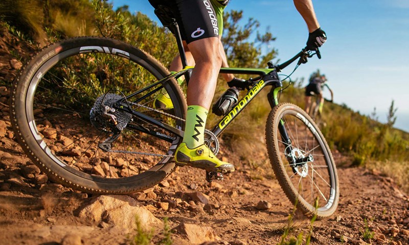 BOB半岛·体育在线登录 Cannondale发布Lefty Ocho前叉以及新款F-Si山地车