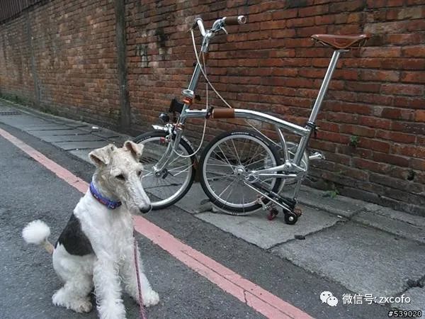 大行sp8骑行_大行骑行p8长途_骑行大行折叠自行车