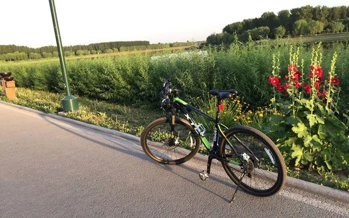 星空体育app下载入口 捷安特 XTC800 2016款 自行车 achair选车购车体验感受纪录