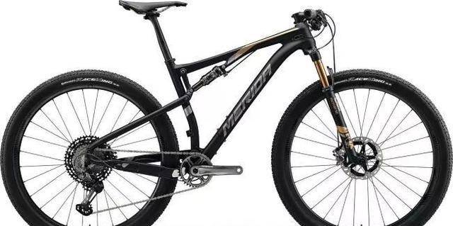 自行车锁死前叉好不好_自行车前叉锁死_自行车锁死前叉维修拆解图