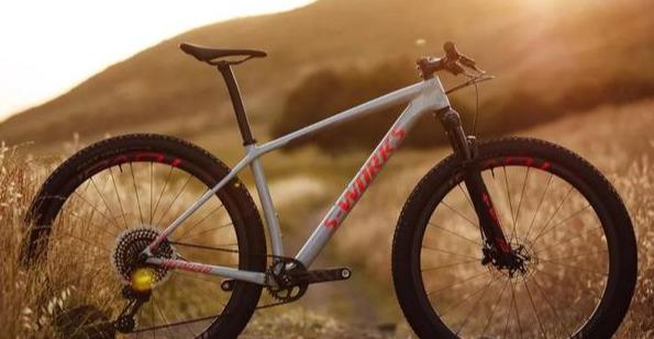 自行车前叉锁死_自行车锁死前叉维修拆解图_自行车锁死前叉好不好