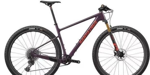 自行车锁死前叉维修拆解图_自行车锁死前叉好不好_自行车前叉锁死