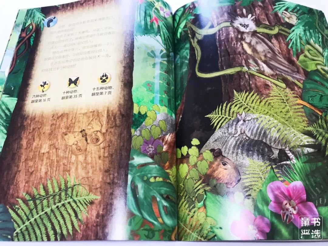 刹车线是什么意思_刹车英文字母_刹车线 英文