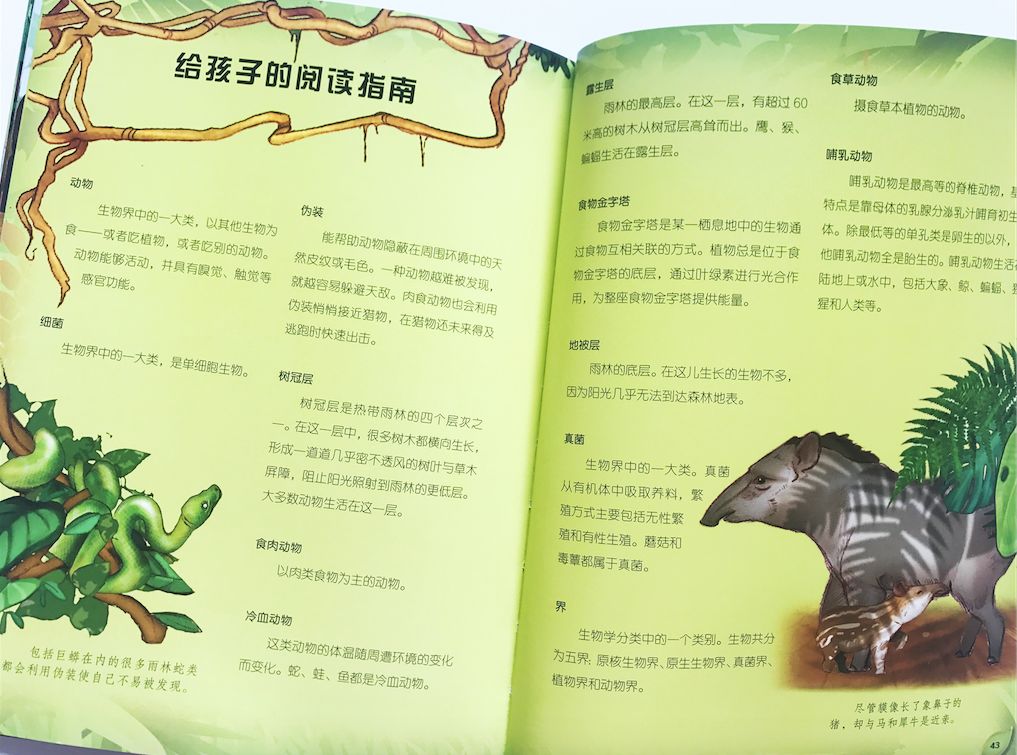 刹车线是什么意思_刹车线 英文_刹车英文字母