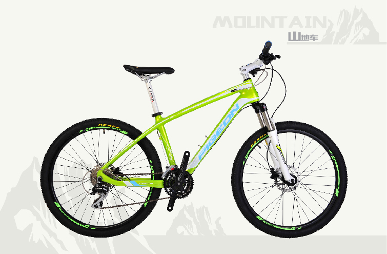 自行车的十大品牌 自行车上面牌子比较好