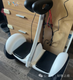 半岛·综合体育官网入口 智能平衡车哪个牌子好？有什么优点？推荐