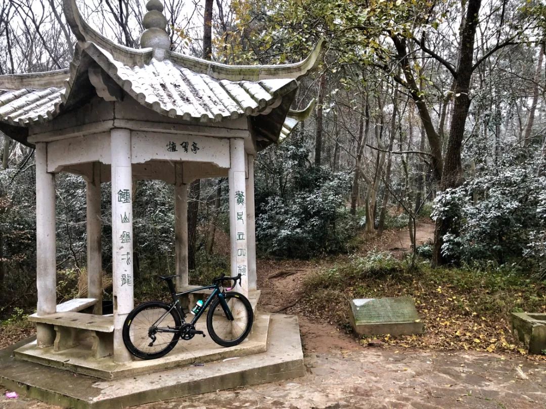 碳前叉推荐_碳钢前叉_公路车碳前叉推荐