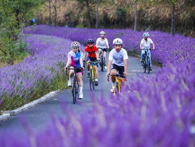 美利达公路车贴吧_美利达公路车最便宜多少钱_美利达公路三千元可以