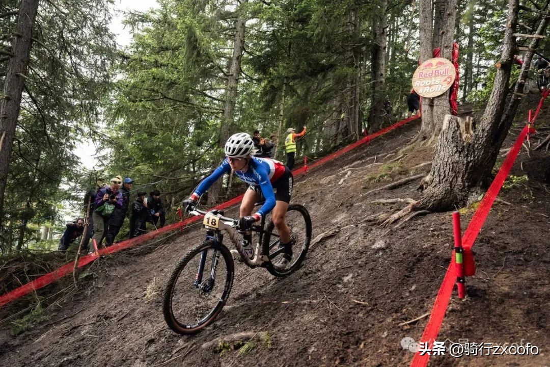 xc自行车_自行车xc也叫什么_自行车xc和am的区别