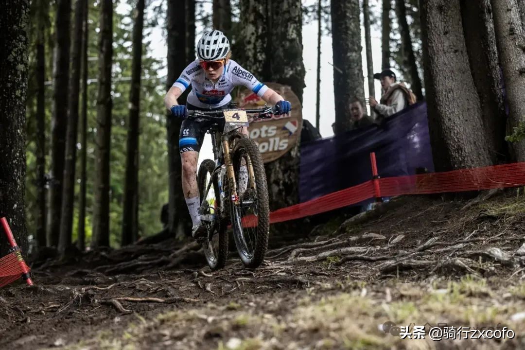 自行车xc也叫什么_xc自行车_自行车xc和am的区别