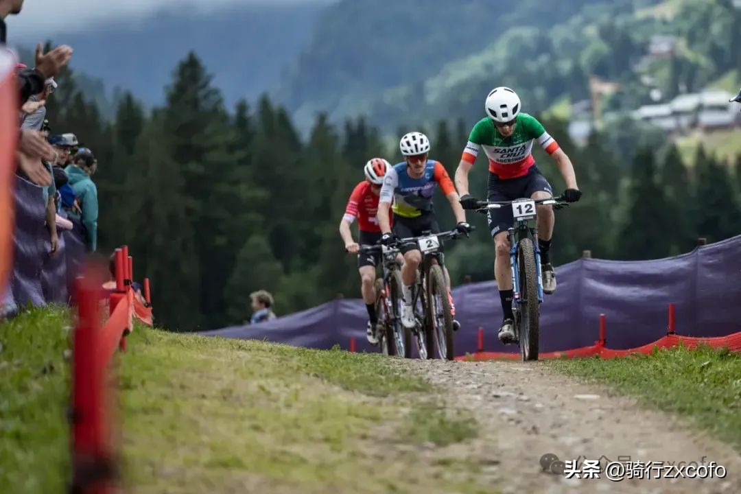 自行车xc和am的区别_自行车xc也叫什么_xc自行车