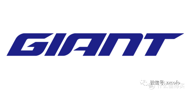 山地车前叉肩控还是线控_山地车线控前叉_山地车前叉线控和肩控的区别