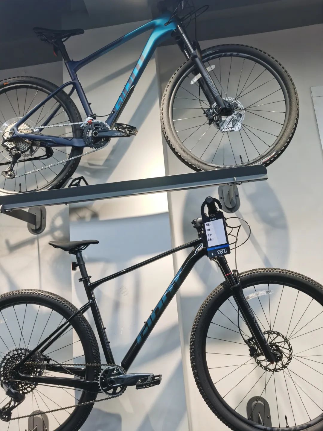 美利达大九系列简介_美利达大七900_美利达大9