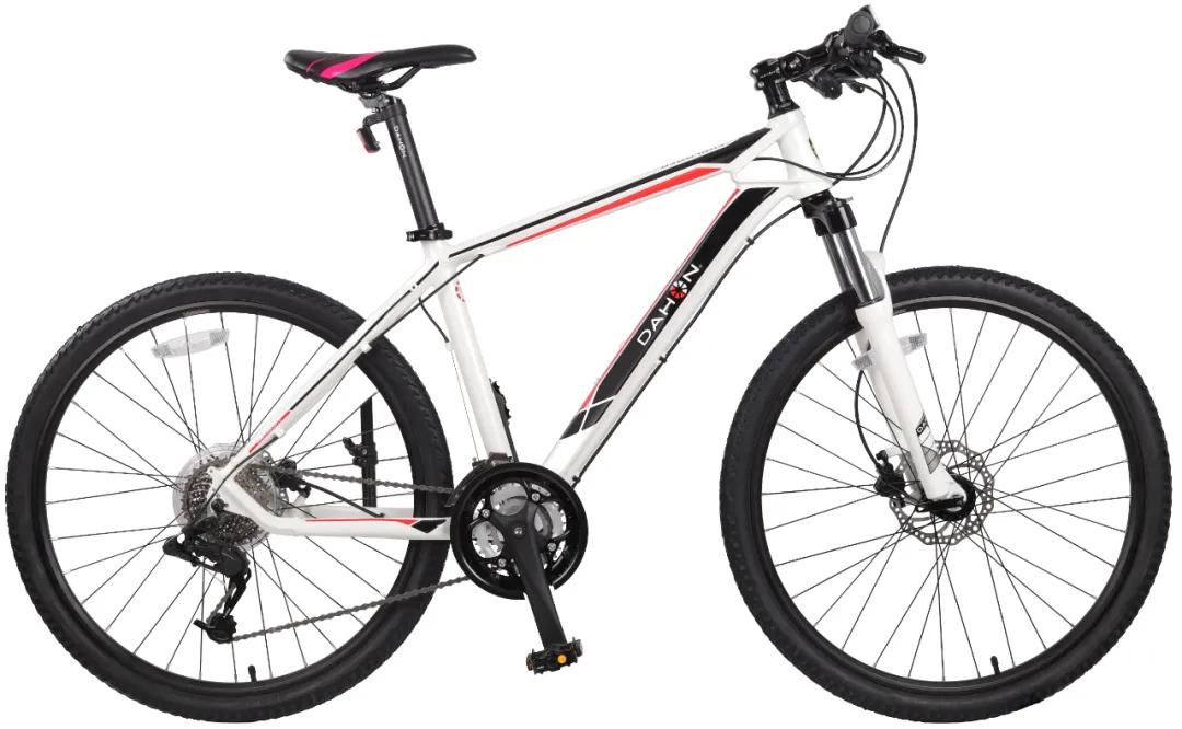 折叠自行车性价比_折叠自行车排名前十名_大行折叠自行车推荐