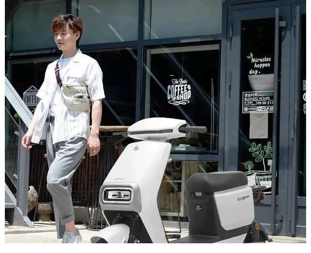 雅迪绿佳哪个耐用质量好_绿佳和雅迪哪个好_雅迪绿佳电动车