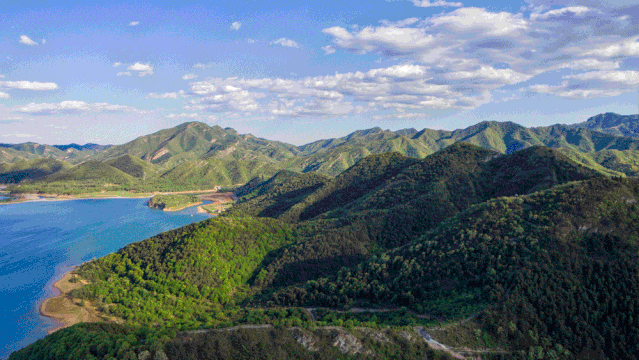 车载智能管家_智能车管家都有什么功能_智能车管家