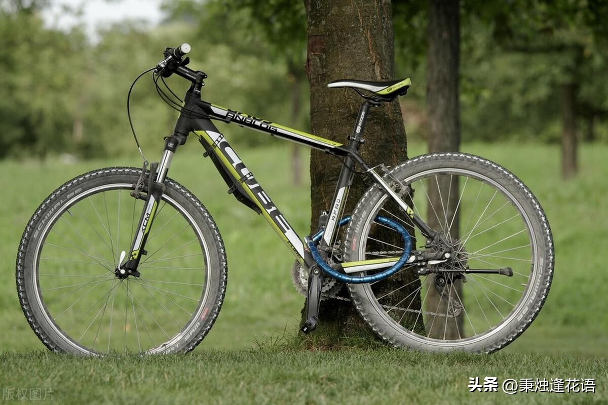 公路车质量美利达标准_美利达公路车品牌排行榜_美利达 公路车 质量