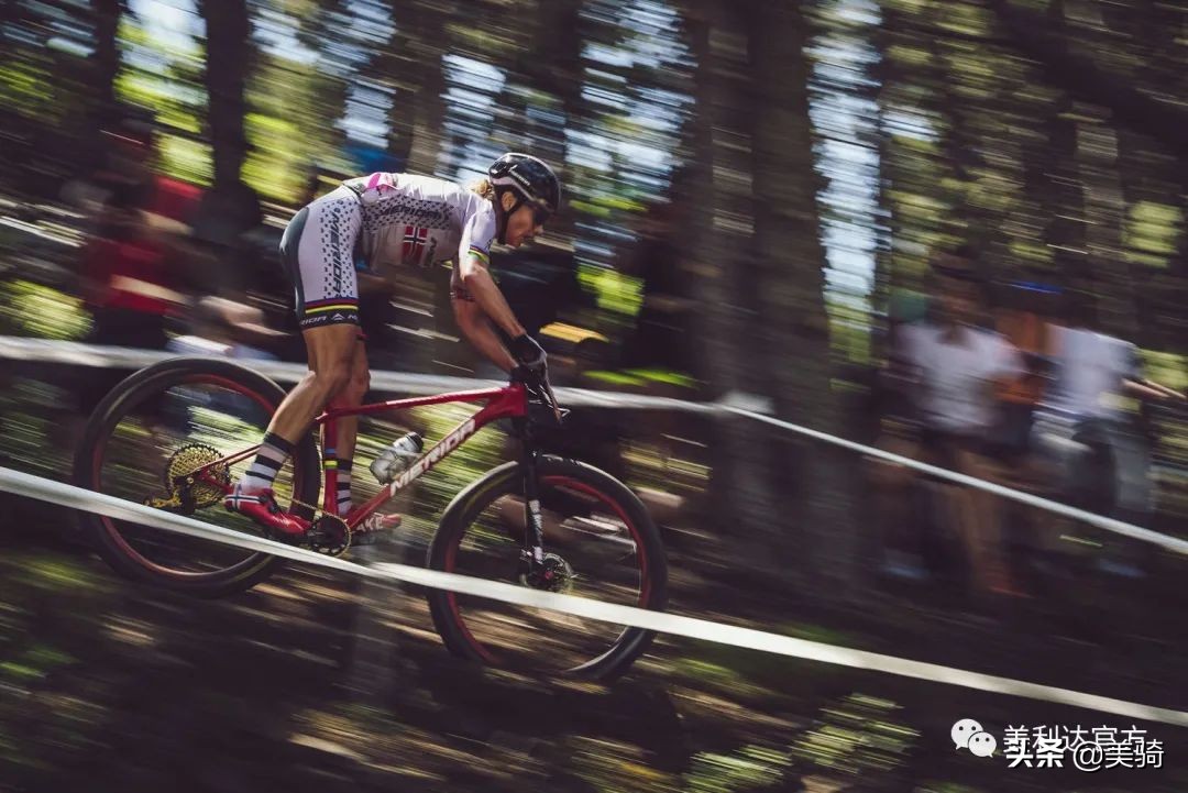 公路车质量美利达标准_美利达公路车品牌排行榜_美利达 公路车 质量