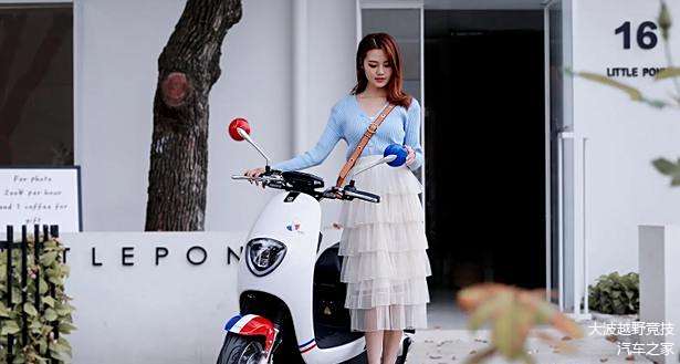 爱玛和雅迪电动车哪好_爱玛好雅迪好_电动车爱玛雅迪哪个好