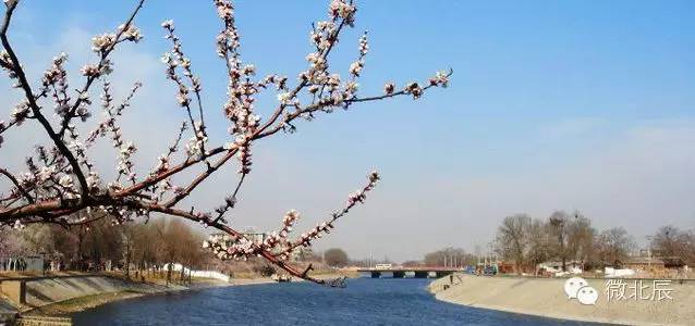 星空体育app下载入口 那些年，陪伴我们一起长大的Made in 北辰~