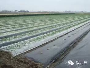 北京捷马自行车_捷马自行车京东商城_顺义捷马自行车