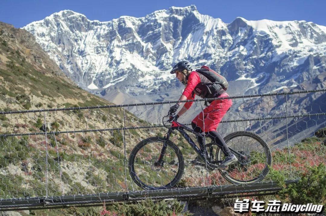 半岛·体育中国官方网 山地车最新发展趋势大解析