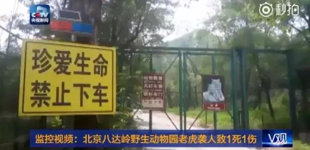 美利达勇士500自行车价格_美利达自行车勇士500_美利达勇士500