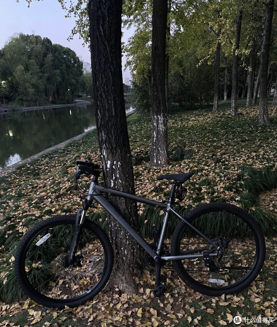 风驰电掣！捷安特公路车Escape：点燃你的骑行激情！