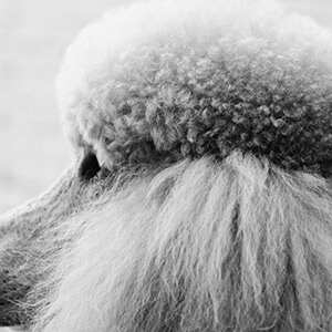 下班途中电动车算工伤么_区里统计骑电动车上下班的老师_上下班电瓶车