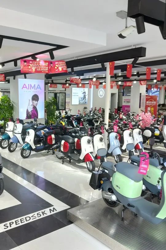 爱玛公路自行车_爱玛自行车公司官网_爱玛生产自行车吗