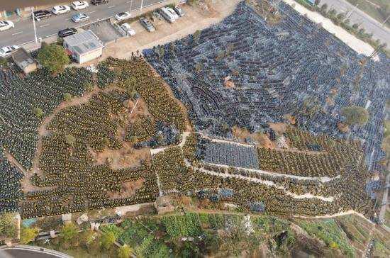 绿佳电动车哪个好_绿佳电动车算几线品牌?_绿佳电动单车价格