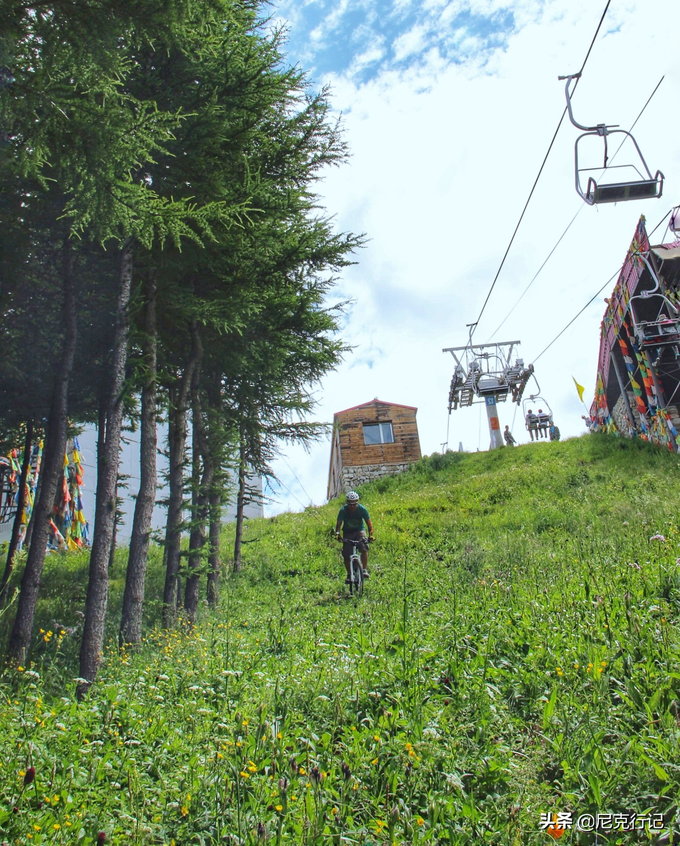前后避震山地车_山地前后避震车型图片_山地前后避震车有哪些