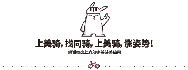 星空体育app下载入口 年度调研 2017年各品牌国内销售数最高的单品