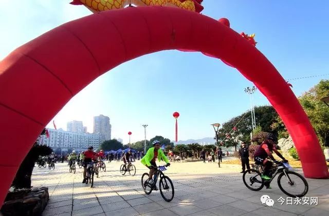 欧亚马自行车型号怎么看_欧亚马自行车_欧亚马自行车哪款好骑