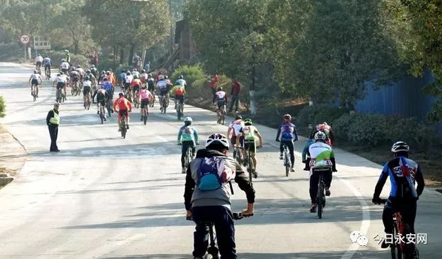 欧亚马自行车型号怎么看_欧亚马自行车_欧亚马自行车哪款好骑