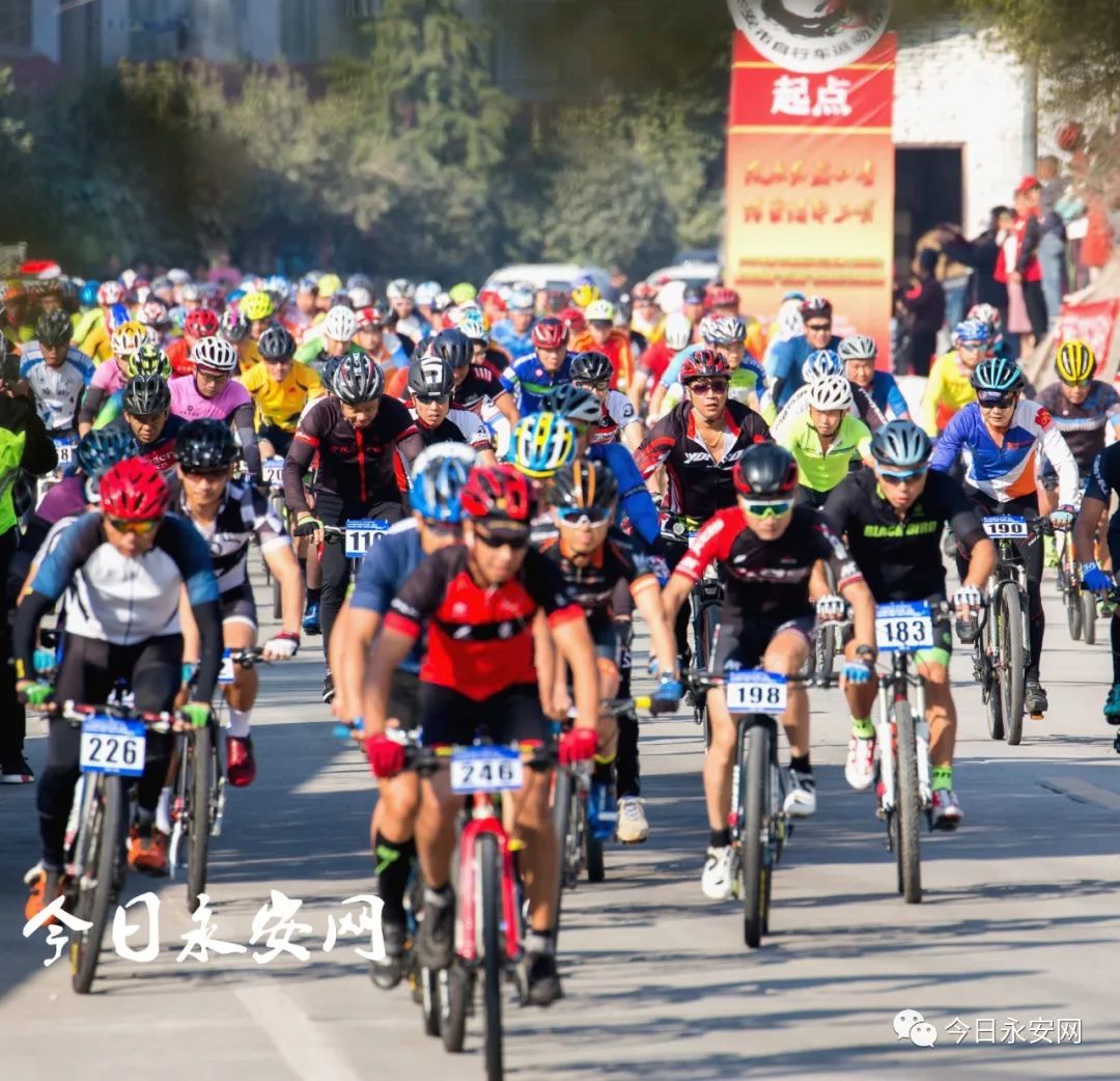 欧亚马自行车型号怎么看_欧亚马自行车_欧亚马自行车哪款好骑