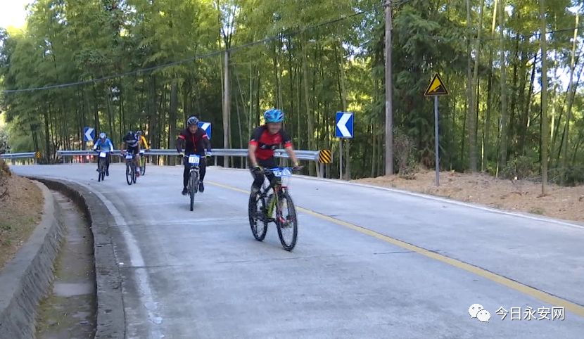 欧亚马自行车型号怎么看_欧亚马自行车哪款好骑_欧亚马自行车