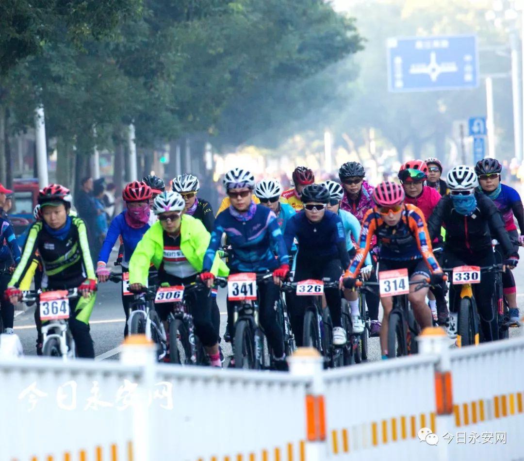 欧亚马自行车型号怎么看_欧亚马自行车_欧亚马自行车哪款好骑