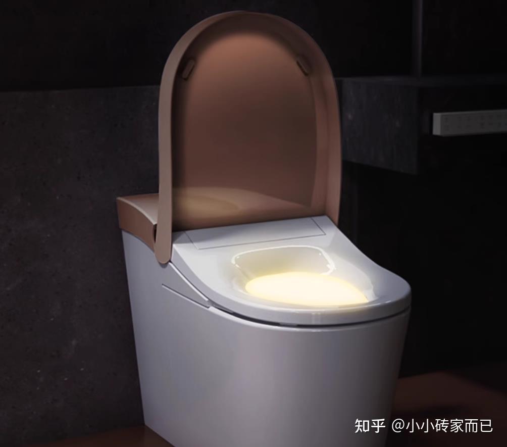 智能平衡车什么牌子好_智能马桶功能介绍_智能马桶选购指南