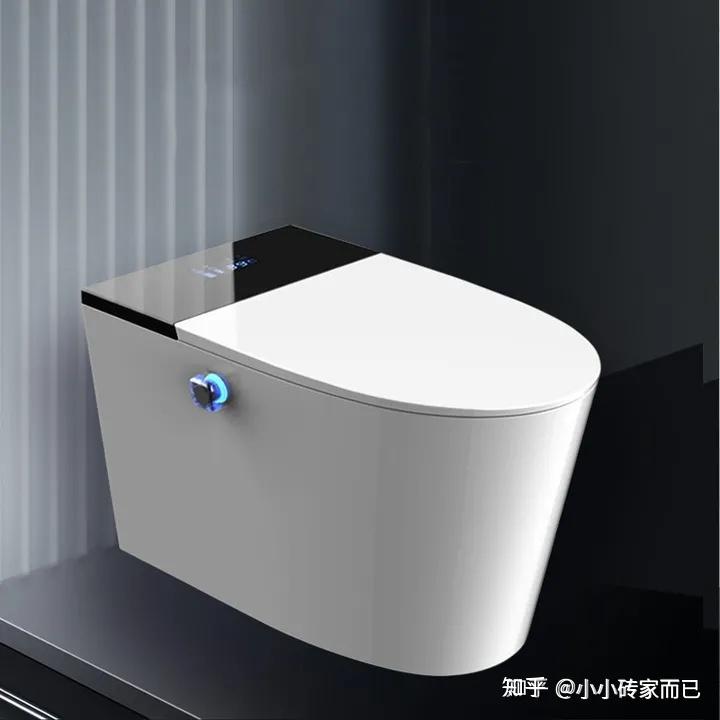 智能马桶功能介绍_智能平衡车什么牌子好_智能马桶选购指南