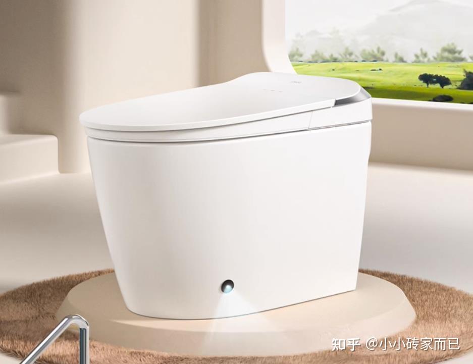 智能马桶选购指南_智能马桶功能介绍_智能平衡车什么牌子好